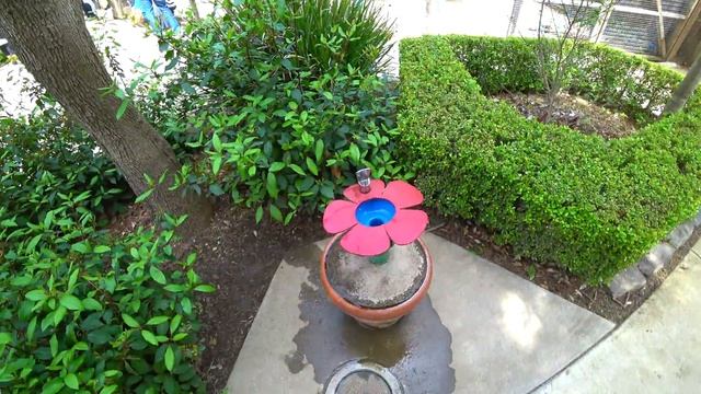 VLOG: ПАСХА В АМЕРИКЕ ДЛЯ ДЕТЕЙ. ОХОТИМСЯ НА ПАСХАЛЬНЫЕ ЯЙЦА! Easter Day смотреть онлайн