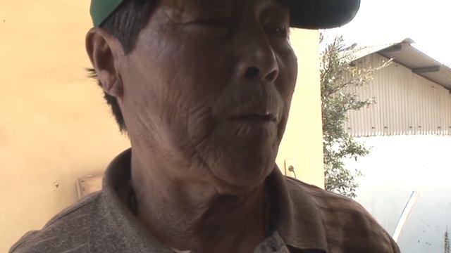 Собака ЗАПЛАКАЛА, когда забрали корову, которая ее воспитала, чем закончится история ? смотреть онлайн