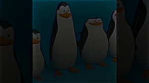 los pingüinos me la van a mascar 1 hour 3 minutes and 25 seconds