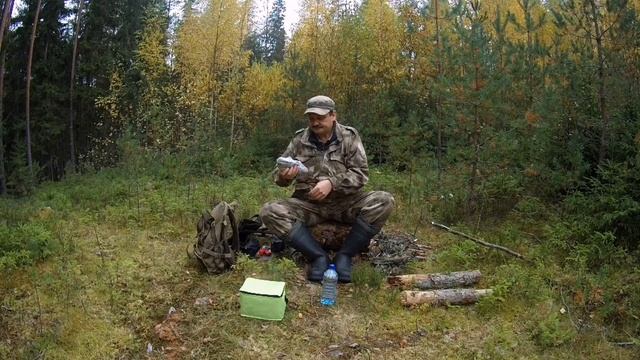 Грибные источники