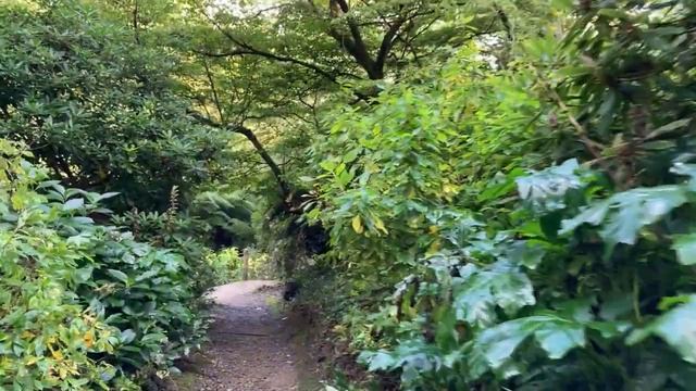 Autumn Garden Walkthrough at the Lost Garden of Heligan - VLOG смотреть онлайн