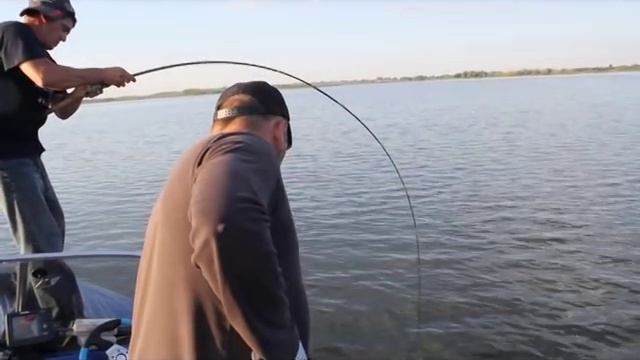 Двухметровый сом, 80кг. Рыбалка в Татарстане смотреть онлайн