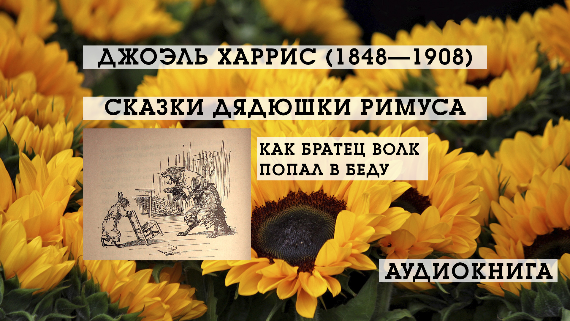 Как Братец Волк попал в беду | Сказки дядюшки Римуса | Джоэль Харрис | аудиокнига смотреть онлайн