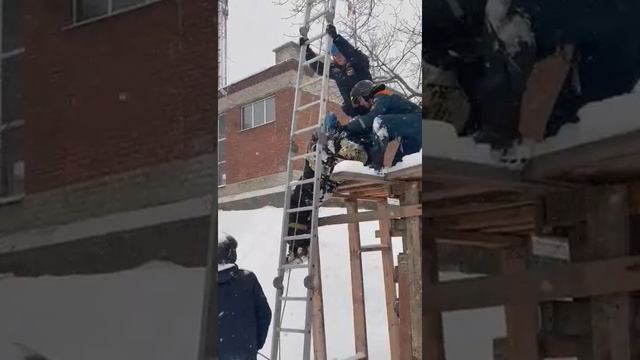 Спуск пострадавшего с помощью ручной лестницы. смотреть онлайн