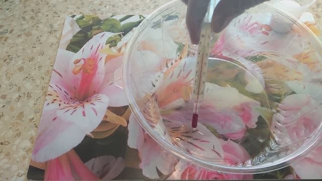 Готовлю лук-севок к посадке. Чем обработать, чтобы не болел. смотреть онлайн