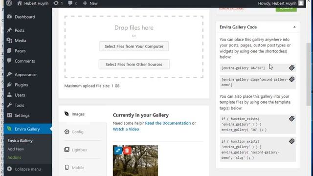 How to install and use Envira Photo Gallery plugin with WordPress смотреть онлайн