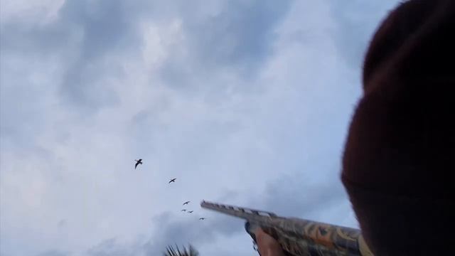 Охота на гуся/только выстрелы смотреть онлайн