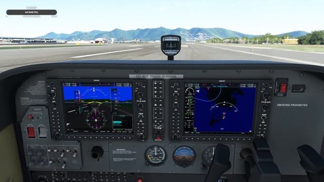 VATSIM Полёт на Cessna 172 в Сан-Мартине (Принцессы Юлианы) TNCM 4K + HIGH SETTING + FSRealistic
