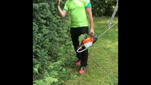 Топиарная стрижка смотреть онлайн