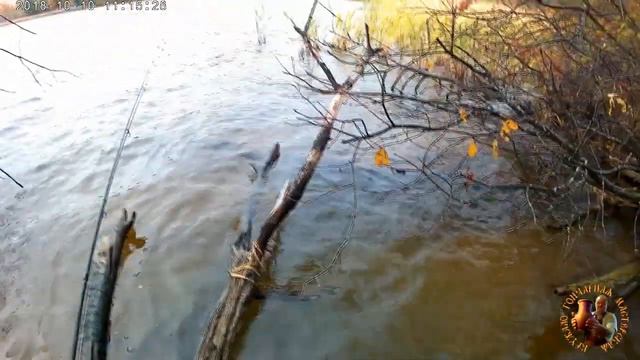 Неудачная рыбалка. Но очень красивая осень. смотреть онлайн