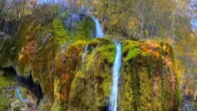 Для Доброслова. Стихи русских поэтов о лете . смотреть онлайн