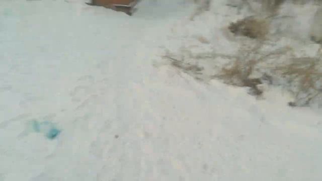 Деньги меняют людей.Бандиты требуют выкуп за Данила.Я такого не ожидал.Конец истории часть 9 смотреть онлайн