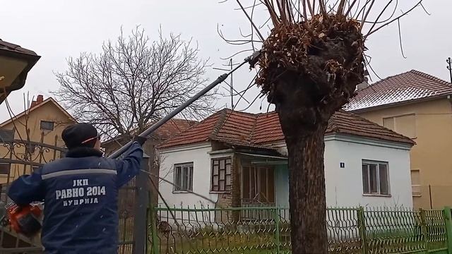 Motorni sekač grana Oleo Mac ppx271 смотреть онлайн