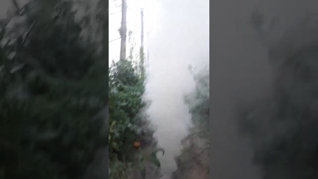 борьба с томатной молью смотреть онлайн