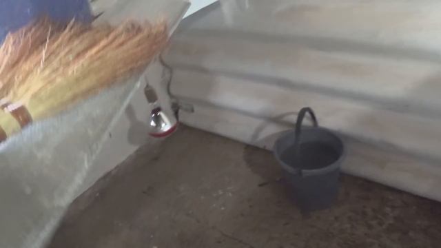 Пришлось отдать СОБАКАМ смотреть онлайн