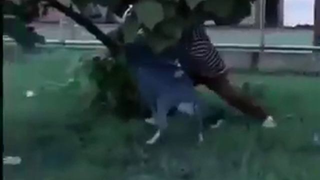 Барашек не любит коричневый цвет смотреть онлайн