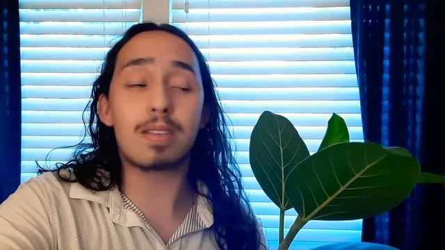 Indian Banyan / Ficus Audrey care (Ficus benghalensis tips) смотреть онлайн