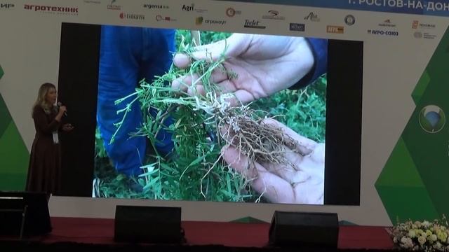 Как сочетать и сеять покровные культуры. Елена Дудкина, "Агро Союз Проект" смотреть онлайн