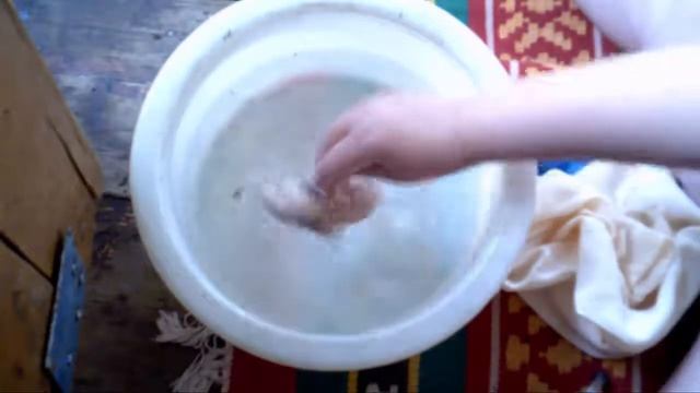 как купать хомяка смотреть онлайн