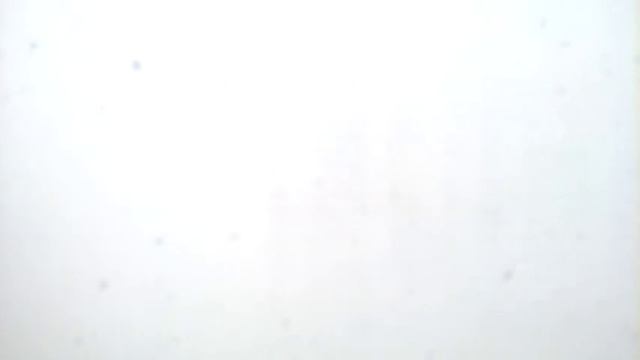 Метель в Новосибирске 21.12.2016 - Видимость нулевая смотреть онлайн