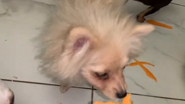 Любимая морковочка всегда заходит на ура. смотреть онлайн