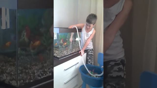 Чистка грунта в аквариуме смотреть онлайн