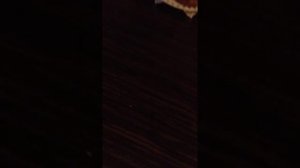 Как сварить САМОЕ КРЕПКОЕ пасхальное яйцо!!