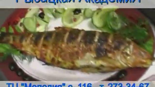 Рекламный ролик - Рыбацкая академия смотреть онлайн