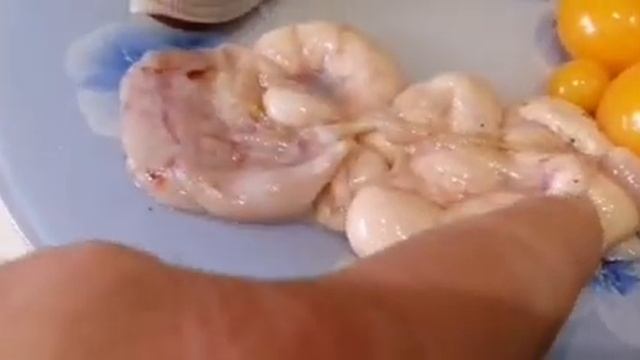 Болезни кур. Клоацит. смотреть онлайн