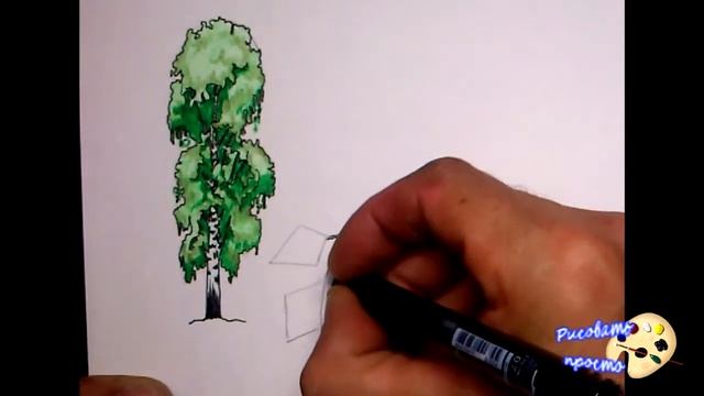 Рисуем деревья(береза и клен) смотреть онлайн