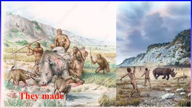 The Types of Human Species смотреть онлайн