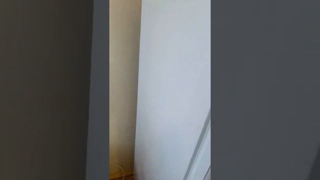 Морозильник Indesit sfr 167 nf смотреть онлайн