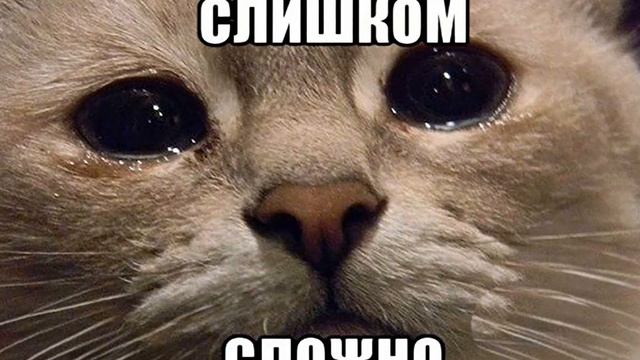 Почему вторник называется вторником? 3 интересных факта о вторнике