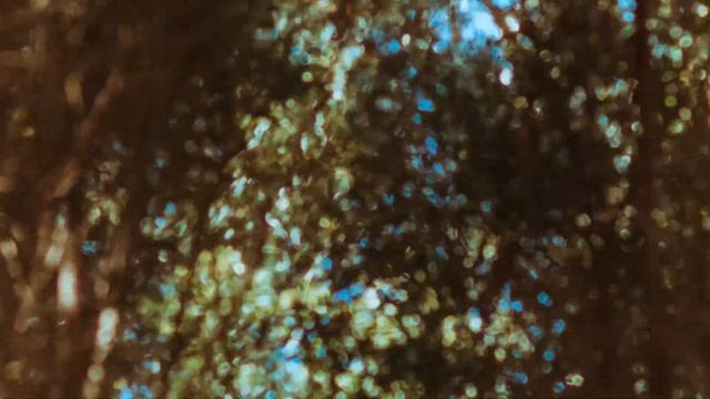 Free Kontakt instrument | woodland piano walkthrough смотреть онлайн