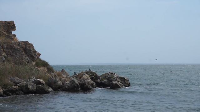 Крым. Мыс Казантип. Что бывает если много нюхать полынь? смотреть онлайн