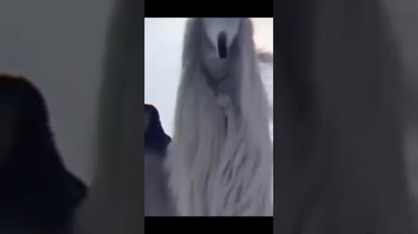 (FREE) Opium Bird Type Beat - Planet