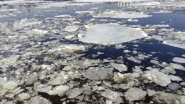По Неве плывет лёд из Ладоги, значит скоро начнут ловить корюшку у Володарского моста!) смотреть онлайн