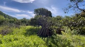 Купила дом в Грузии! Какая цена! Прогресс в ремонте.