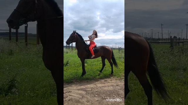 Кадышева "Широка река" смотреть онлайн