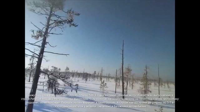 ПО БОЛОТУ НА МЫС. Моё видео. смотреть онлайн
