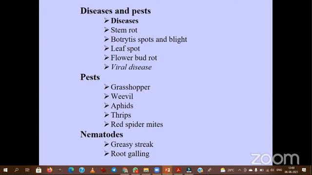 Tuberose смотреть онлайн