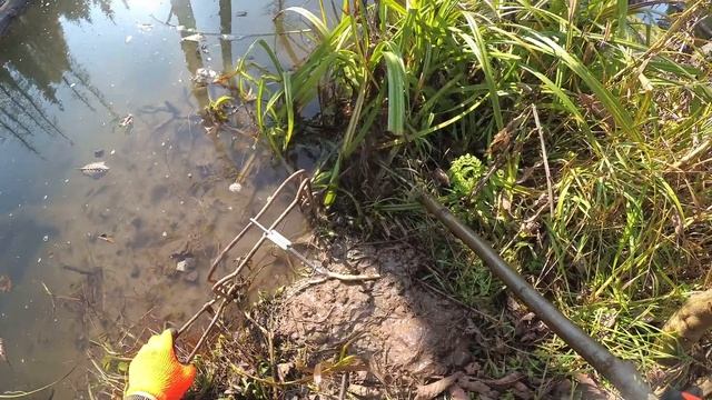 Первый пролов Bridger 330 и приманка на бобра J.Yucon Beaver Creek Бобр замечен и не один.