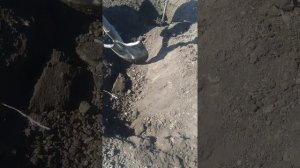 ЛОВУШКА ДЛЯ СЛЕПЦА. Ловим крота на рыболовные крючки - тройники. Проверяем ловушку.