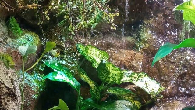 Video Collection from National Aquarium, Abu Dhabi, UAE смотреть онлайн