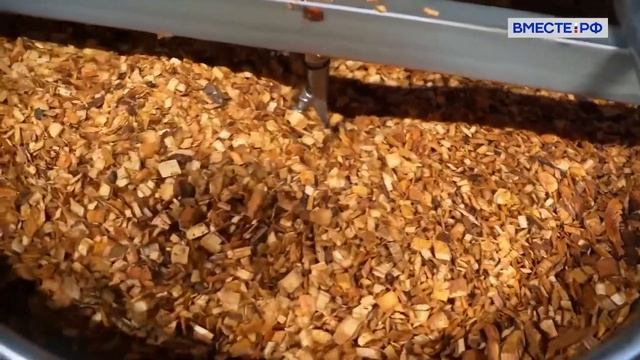 Производство шпротов в Калининградской области смотреть онлайн