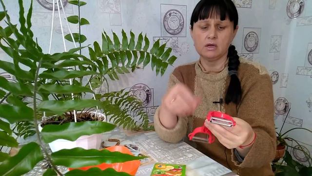 Я вас очень прошу !!! смотреть онлайн