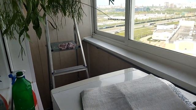 Мою, болтаю, показываю. Зеленый уголок 7 часть. смотреть онлайн