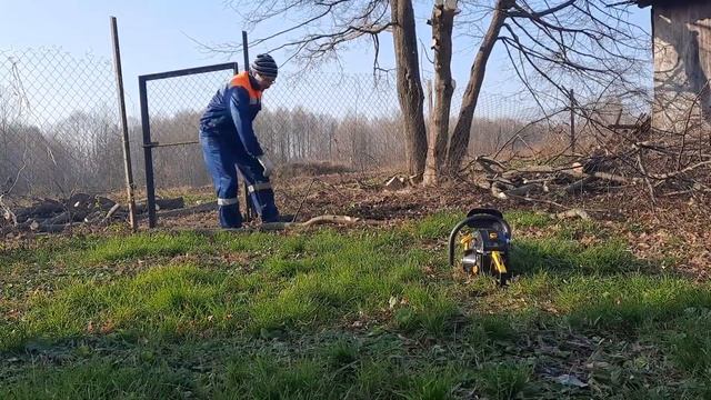 ОБРЕЗКА ЛИПЫ. ПИЛИМ.НОСИМ.СКРЕБЁМ. смотреть онлайн