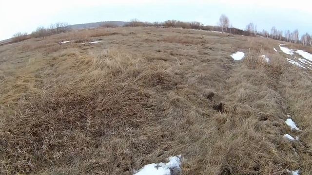 Копаю металл,встретил лису смотреть онлайн