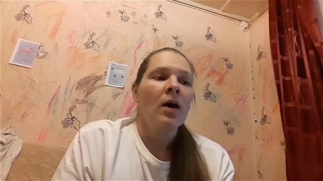 Лэпбук Будуевой Ирины по итогам программы Лэпбук Конструктор смотреть онлайн